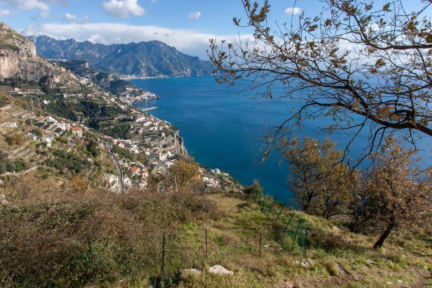 La Casetta Nel Bosco, *