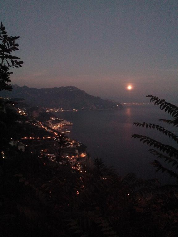 La Casetta Nel Bosco, *