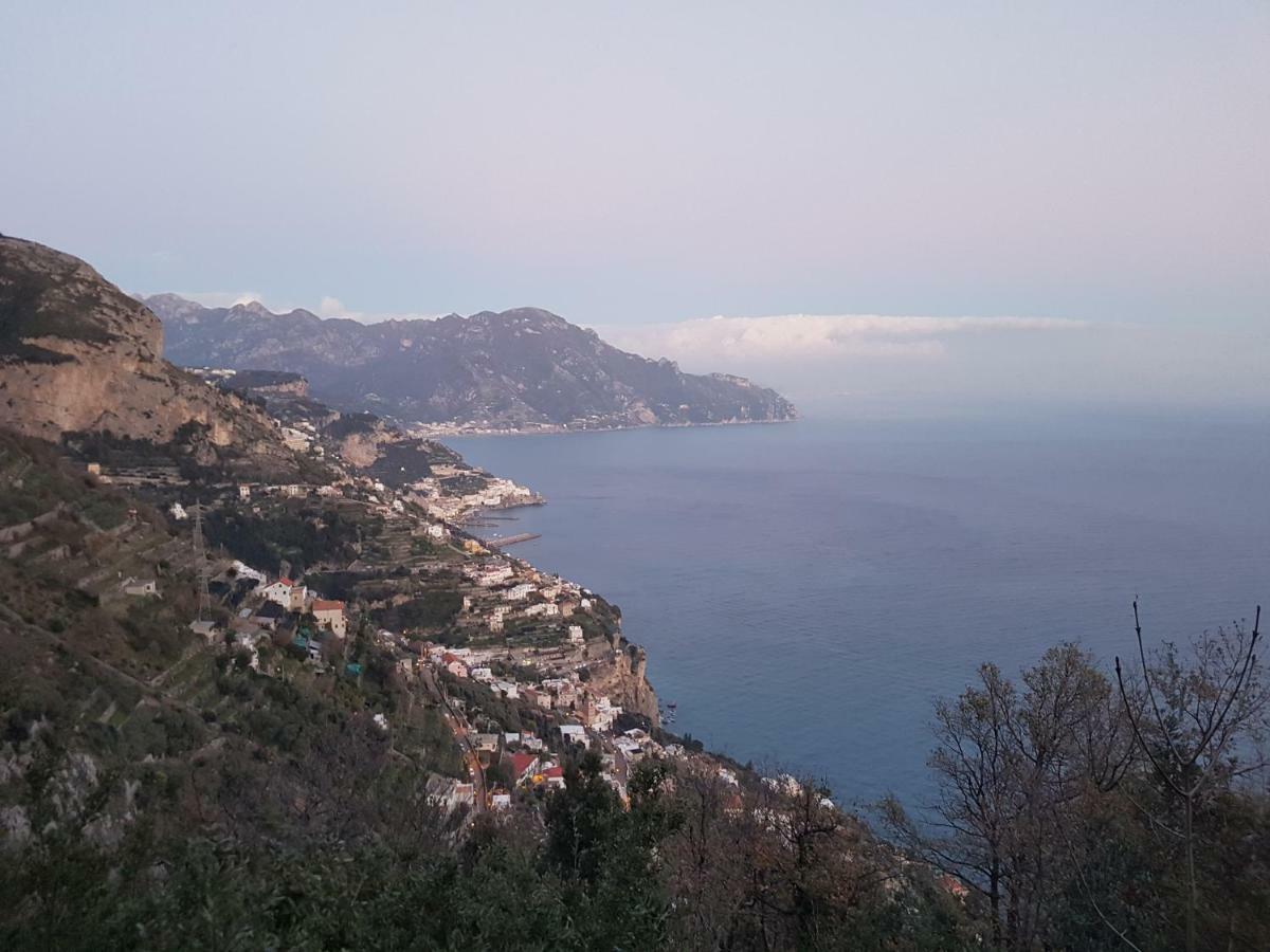 La Casetta Nel Bosco,